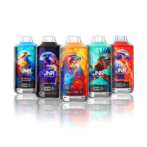 JNR Falcon X 18000 Wegwerp Vapes (Doos van 10)