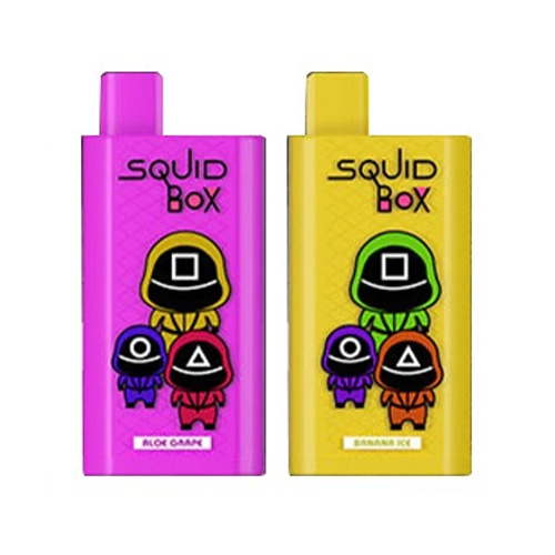 RANDM SQ Box 5200 Wegwerp Vapes (Doos van 10)